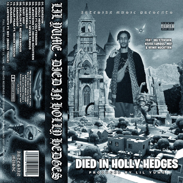 DIED IN HOLLY HEDGES cover art