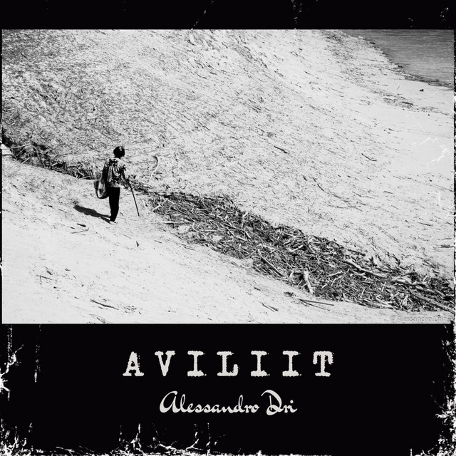 Alessandro Dri – Aviliit