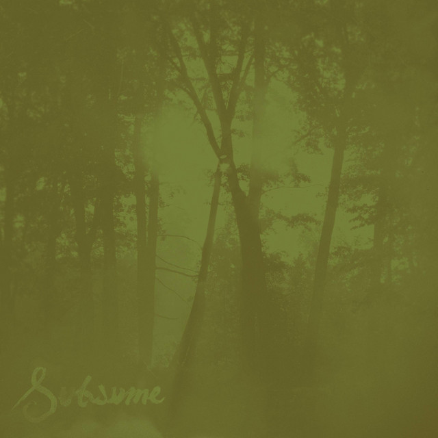 Subsume (2020 Remaster) cover art