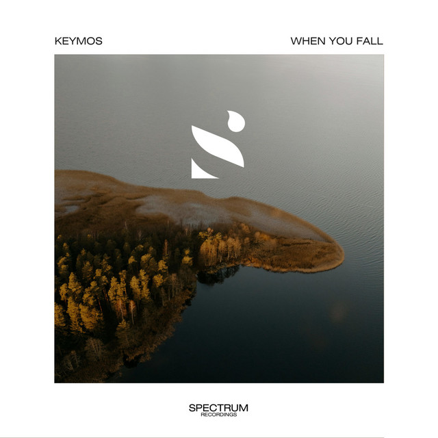 When You Fall cover art