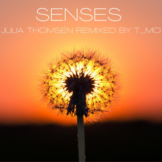 Senses (T_Mo remix) cover