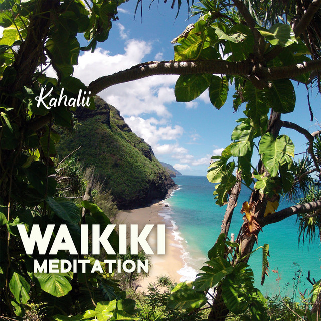 Waikiki Meditation cover art