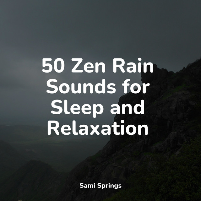 50 Zen Rain Sounds for Sleep and Relaxation - Album by Rainforest | Spotify