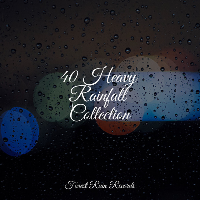 40 Heavy Rainfall Collection cover art