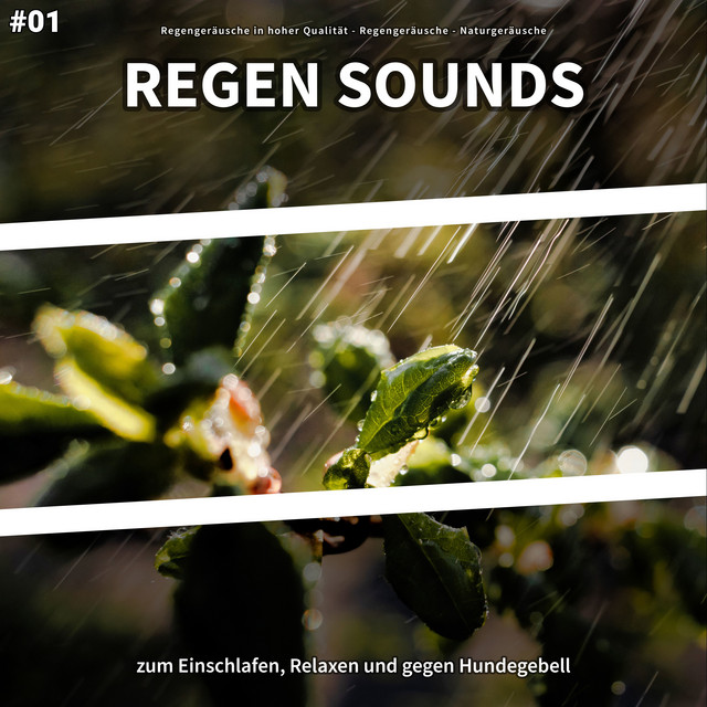 #01 Regen Sounds zum Einschlafen, Relaxen und gegen Hundegebell cover art