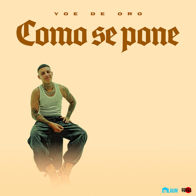 Como Se Pone