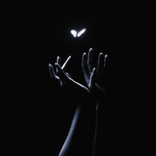 Моё Одиночество cover art