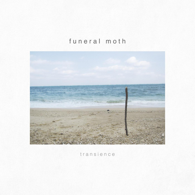 Transience cover art
