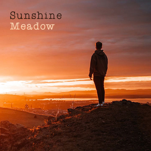 Cover art: Sunshine Meadow — FXZEN