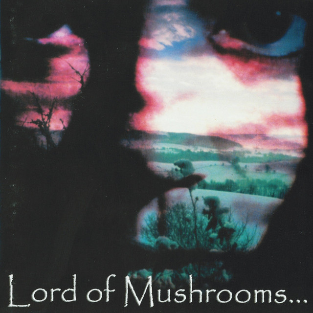 Lord Of Mushrooms... — Lord of Mushrooms