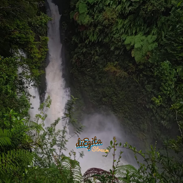 Stream