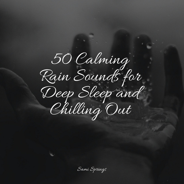 50 Rain Sounds for Zen Spa cover art