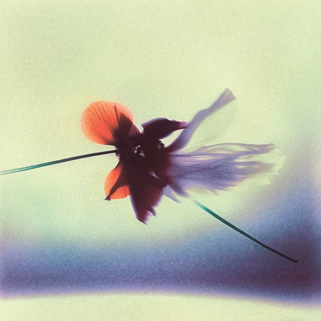 Heart Notions cover art
