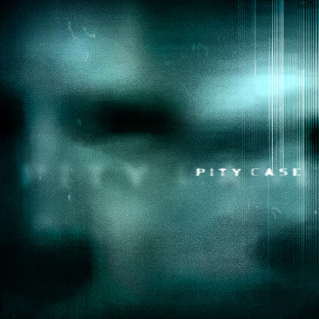 Pity Case cover art