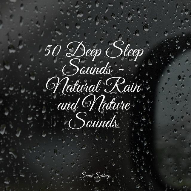 50 Deep Sleep Sounds - Natural Rain and Nature Sounds - Album by Sonido ...