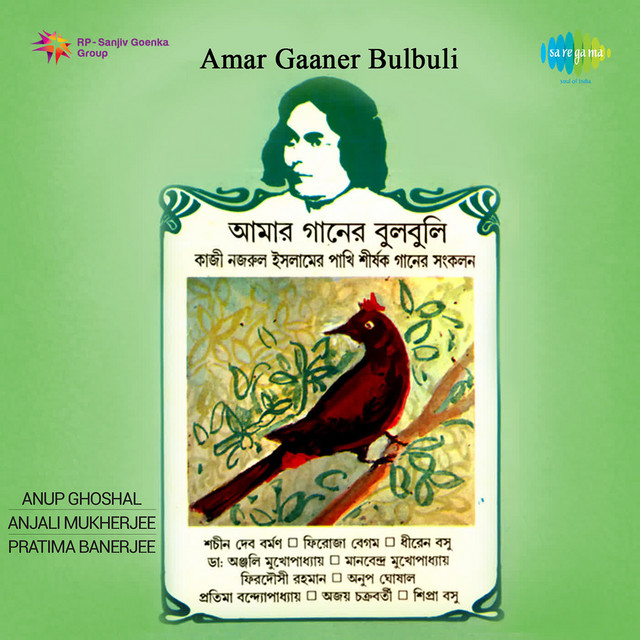 Amar Gaaner Bulbuli cover art