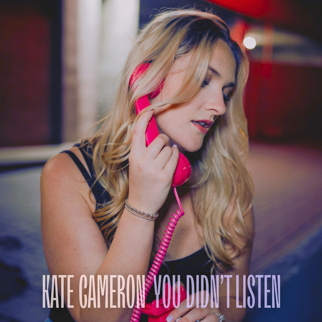 You Didn't Listen cover