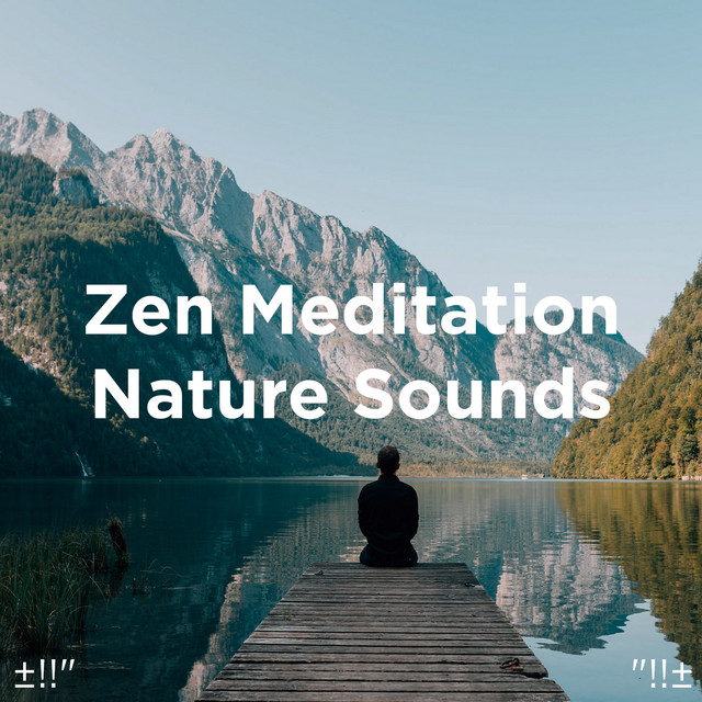 Zen Meditation Nature Sounds - Album by Yoga | Spotify