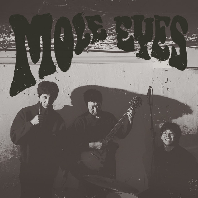 轻歌曼舞 cover art