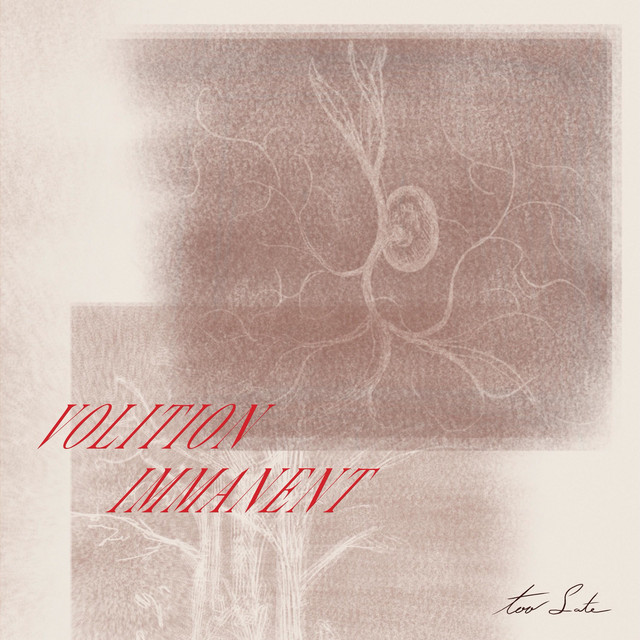 Too Late cover