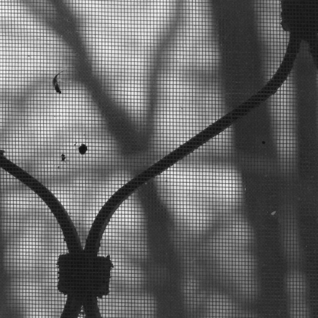 Обкладинка Dirtbag Loris — Comfort II (Demo EP)