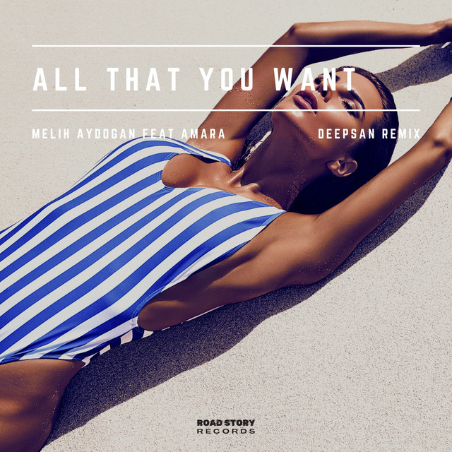 All That You Want - Deepsan Remix