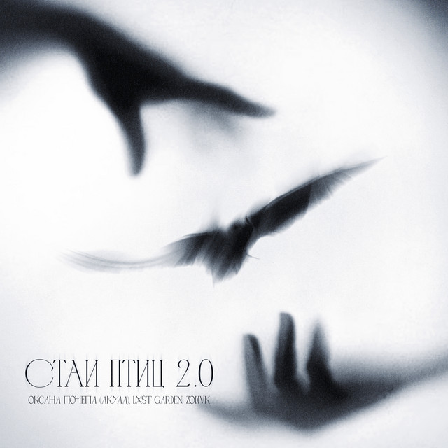 Стаи Птиц 2.0 album image