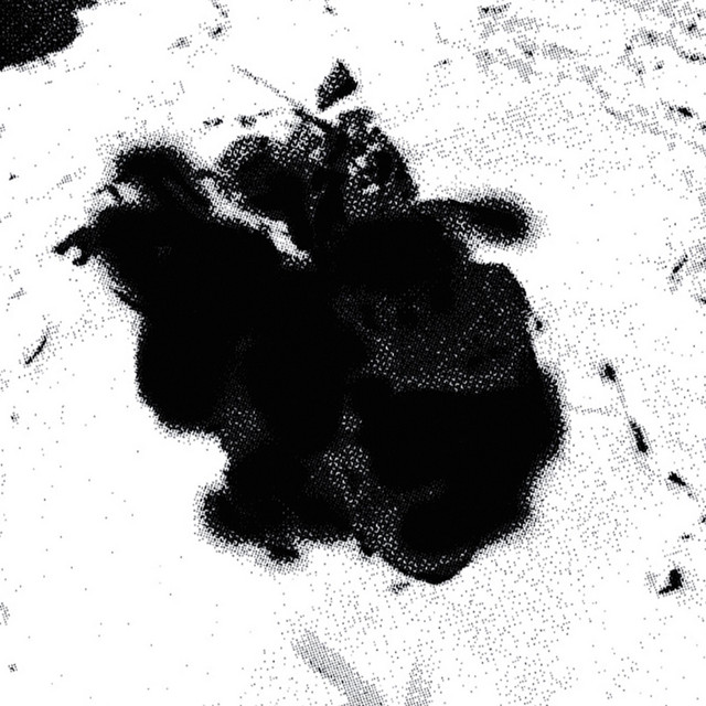 satin cover art