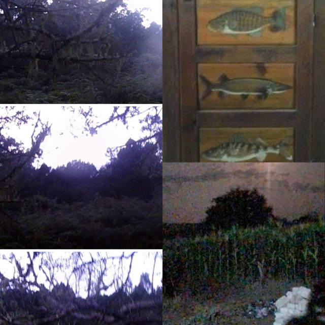 home recordings 2 cover art