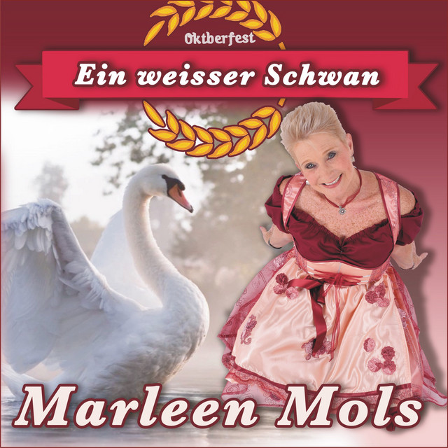 Ein weisser Schwan