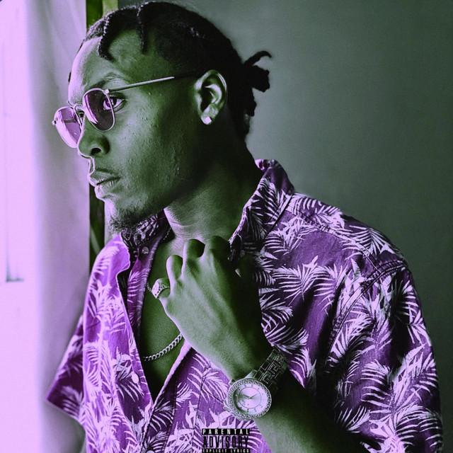 DON: Chopped & Screwed By DJ GoCrayZ cover art