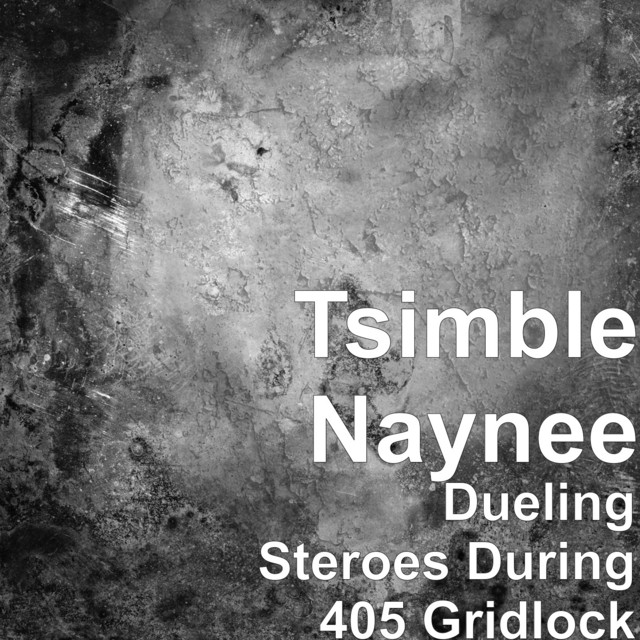 Dueling Car Stereos During 405 Gridlock - song and lyrics by Tsimble ...