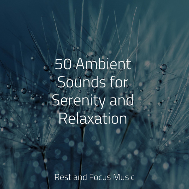 50 Ambient Sounds for Serenity and Relaxation - Album by Baby Sweet ...