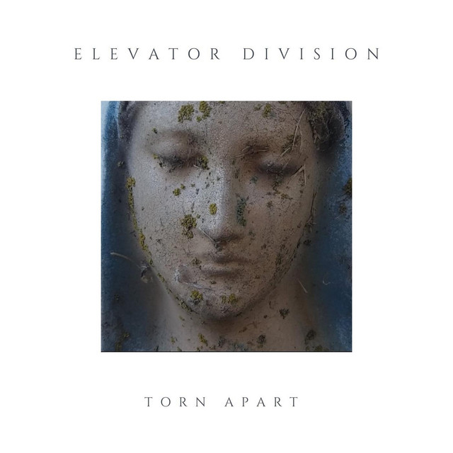 Torn Apart cover