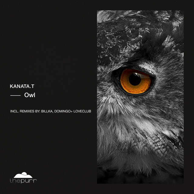 Owl - Billka Remix cover art