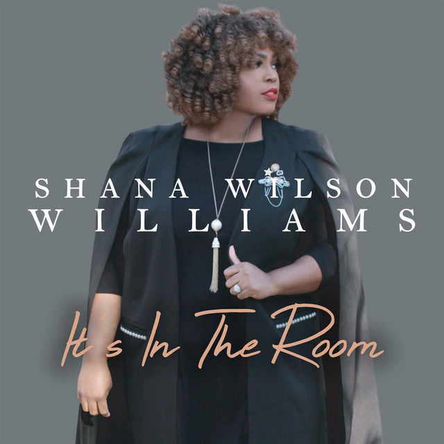 It's In The Room (Radio Edit)