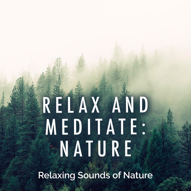 Relax and Meditate: Nature - Album by Relaxing Sounds Of Nature | Spotify