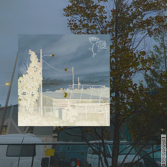 common courtesy cover art