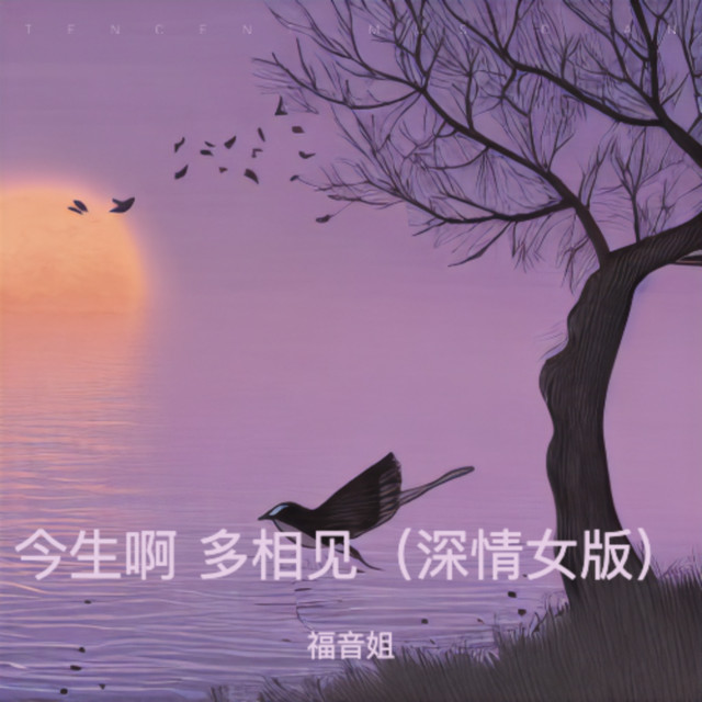 福音姐
