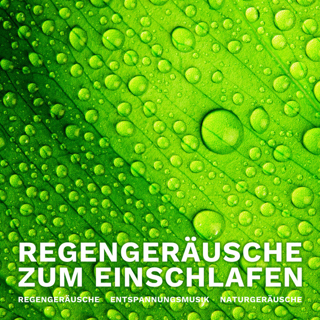 Regengeräusche zum Einschlafen cover art
