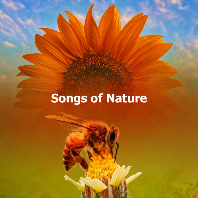 Songs of Nature - Album by Rainforest Sounds | Spotify