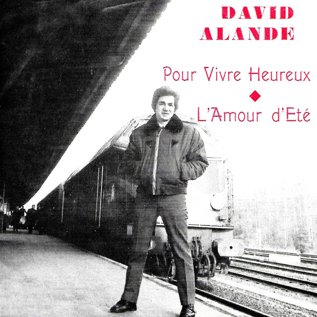 Pour Vivre Heureux L Amour D Ete Single By David Alande Spotify