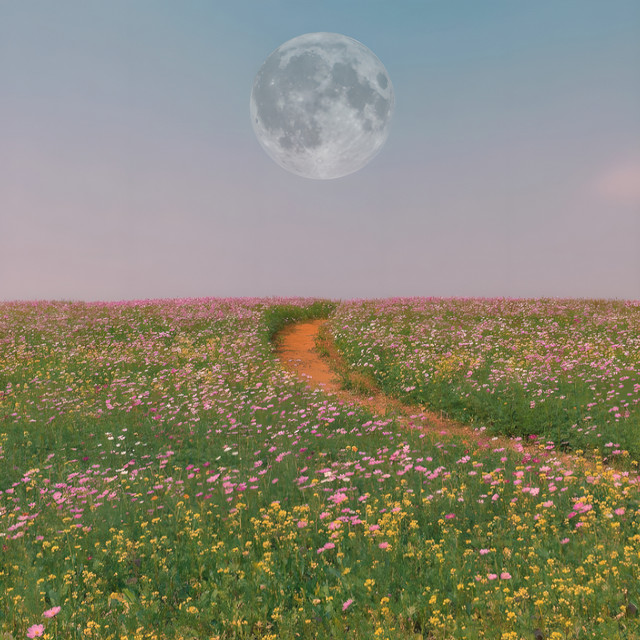 The Scenic Route cover