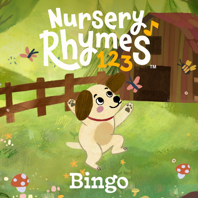 Bingo album image
