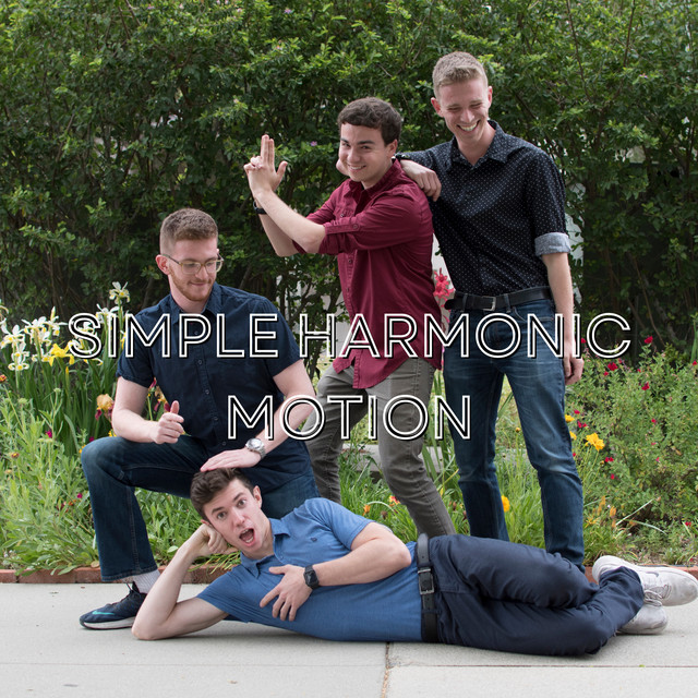 Simple Harmonic Motion