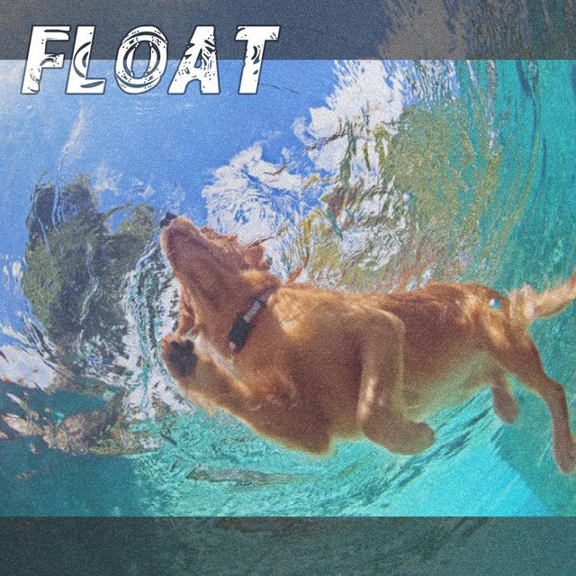 Float cover art