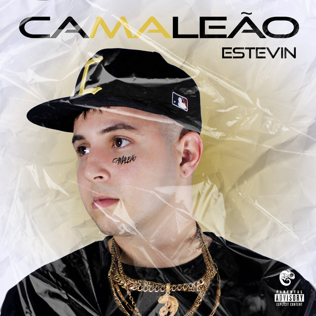 Обкладинка: Favelado Empresario — ESTEVIN