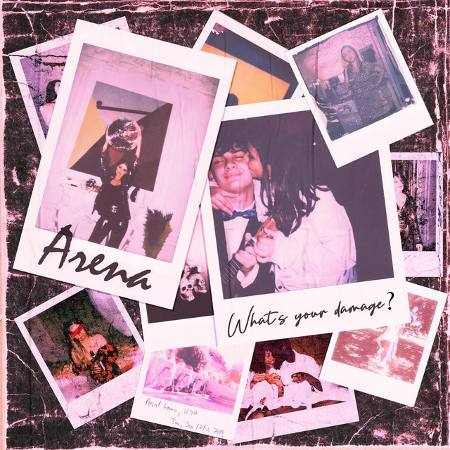 What's Your Damage? cover art