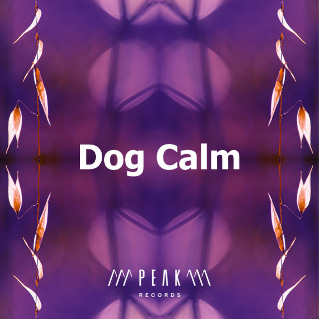 Dog Calm - Album by Dog Calming Music | Spotify