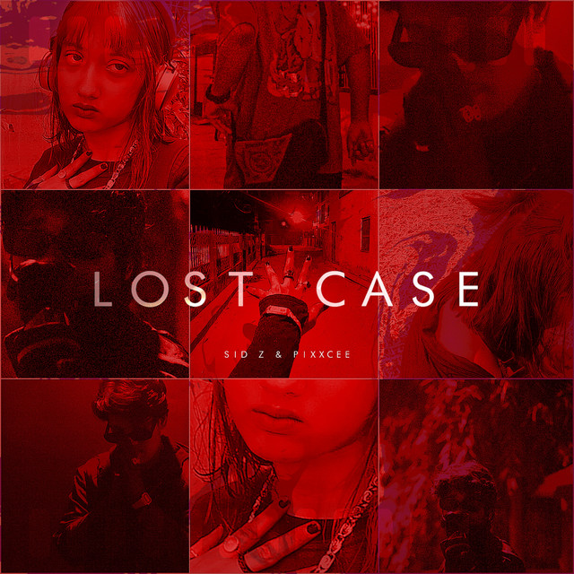 Lost Case cover art